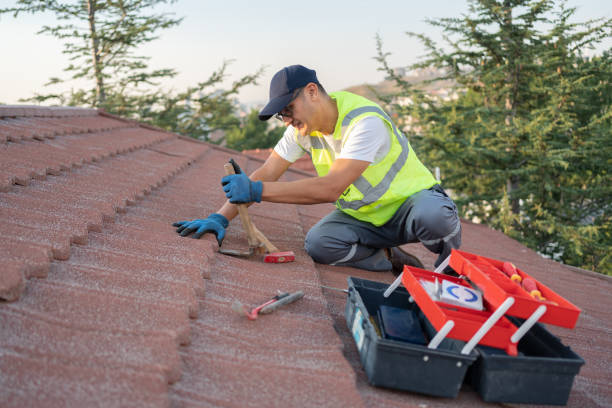 Best Local Roofing Companies  in Carbon Cliff, IL